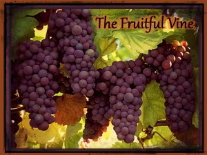 Abiding In The Vine