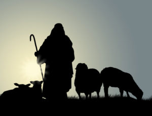 The Shepherd And The Sheep